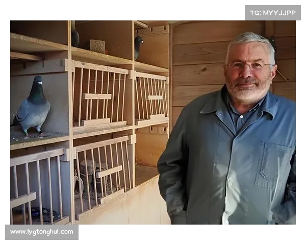 布克职业生涯回顾：从天赋少年到全明星球员的成长轨迹与成就分析